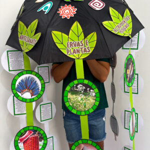 Guarda-chuva indígenas